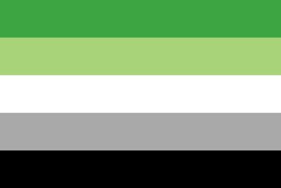Aromantic flag with 5 horizontal stripes: green, light green, white, grey, and black.