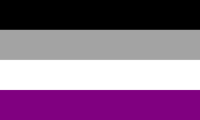 Asexual flag with 4 horizontal stripes: Black, grey, white, and violet.