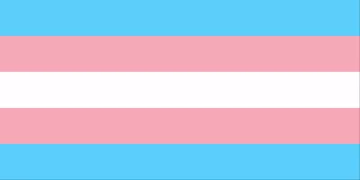 Transgender flag with 5 stripes: light blue, pink, white, pink and blue.